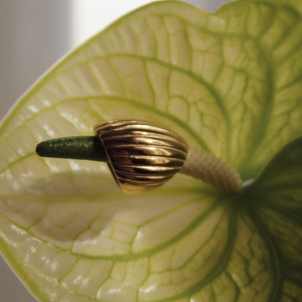 The Rae Ring