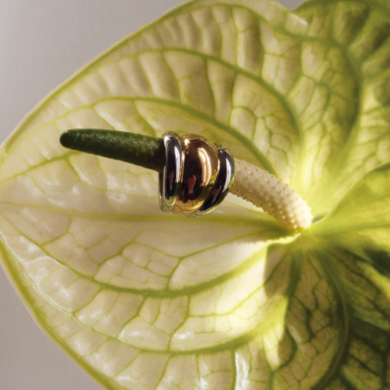 Le Mélange Ring