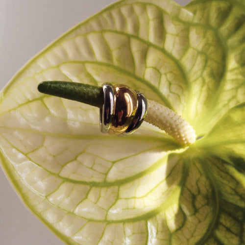 Le Mélange Ring